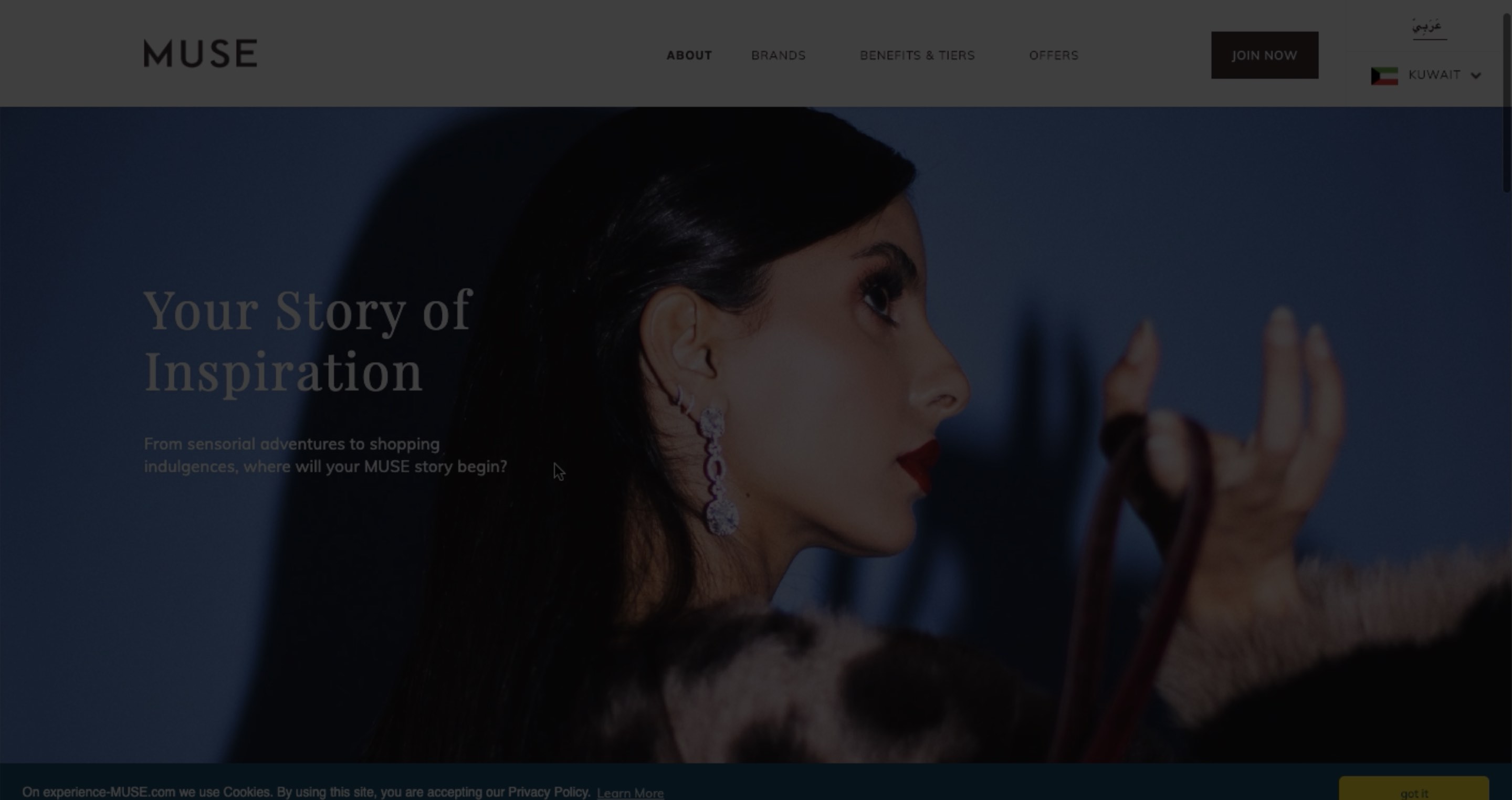 Muse4